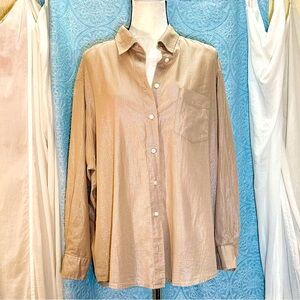 #S2. NWOT GAP The Big Shirt Metallic Threaded Button Down Shirt